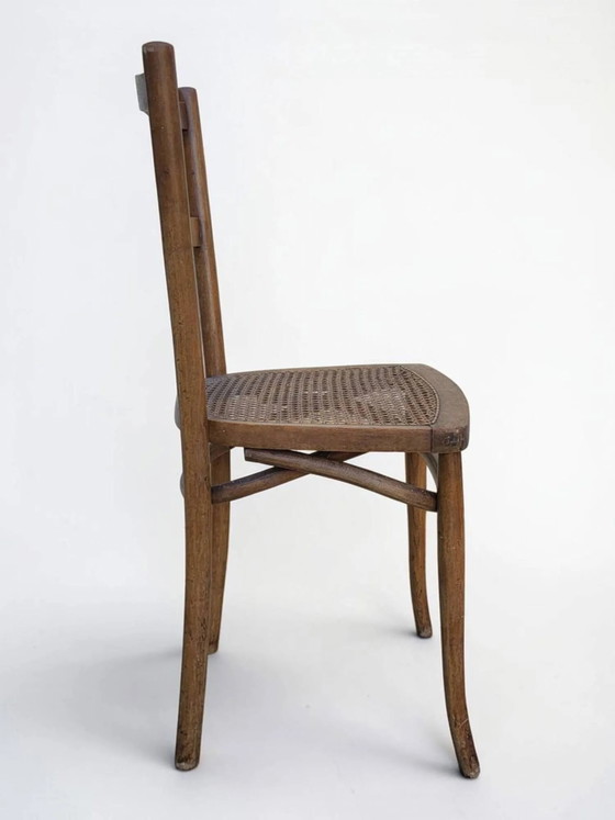 Sedia da bistrò impagliata – Sedie da pranzo, Wood, Art Nouveau (photo 5 of 12)