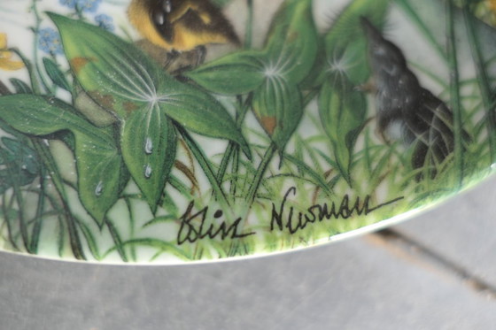 Image 1 of Assiettes décoratives Wedgwood 3 x par Colin Newman 1987