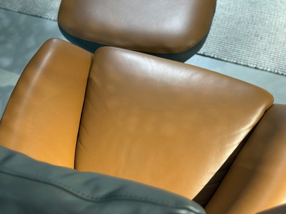 Caruzzo  en – Leolux, Fauteuils, Leather, Calfskin (photo 5 of 7)
