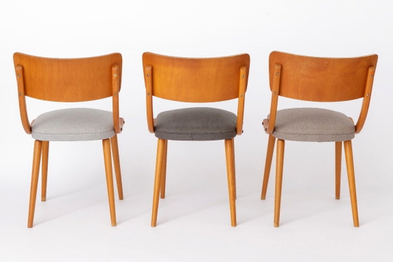 Ensemble de 4 chaises de salle à manger vintage en bois courbé, chaises en hêtre de style Stol Kamnik, style (photo 7 of 9)