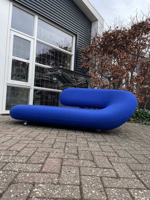 Artifort Cleopatra Loungebank, 70 Jahre