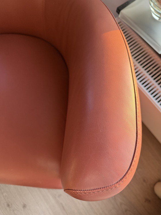 Image 1 of Leolux Amphora Ledersessel.