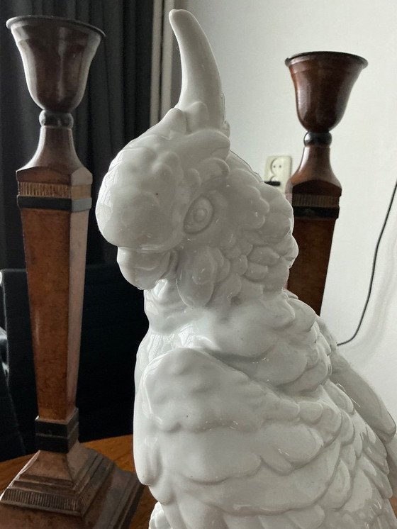 Image 1 of Weißer Kakadu