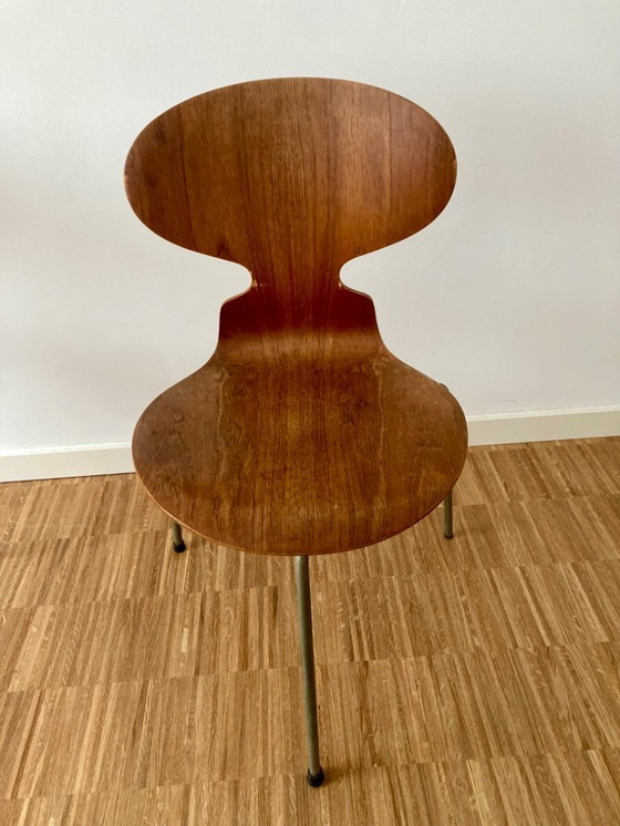 Image 1 of 2x silla Arne Jacobson Ant, originales ( años 50 )