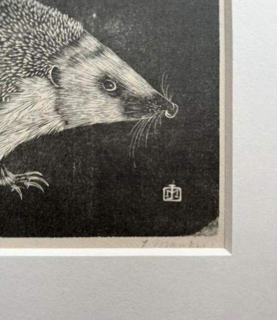 Image 1 of Jan Mankes 1889-1920 / Original Heliogravüre Igel 1923