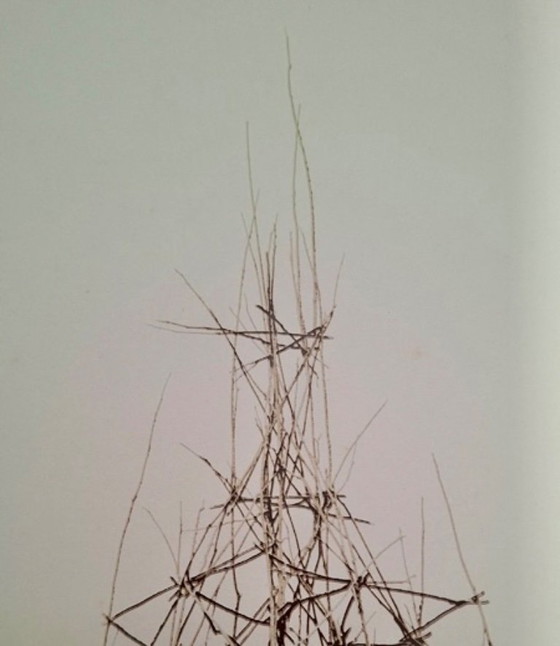 Geurt Van Dijk - Serigrafia 'Sternheim' – Litografie e stampe, Paper (photo 5 of 6)