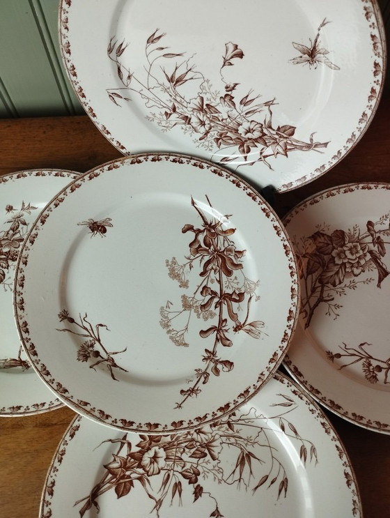 Image 1 of "Carmen" - 5 dinner plates ø 23.5cm ironstone Sarreguemines U&C