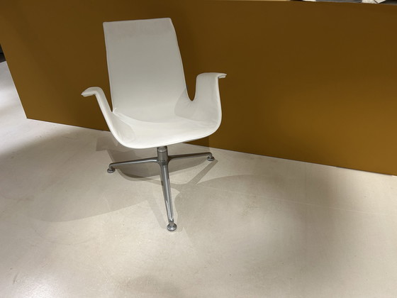 Image 1 of Poltrona Walter Knoll FK Schalensessel