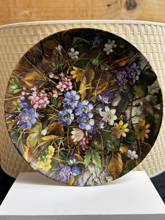 Image 1 of 🌸 “Wild Beauty” | Fürstenberg collector plates | Limited Edition | Complete and rare series | New