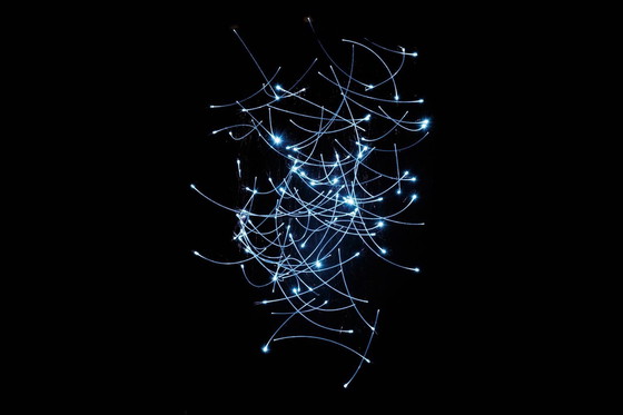 Image 1 of Lampada da sospensione Ligne Roset Brindilles