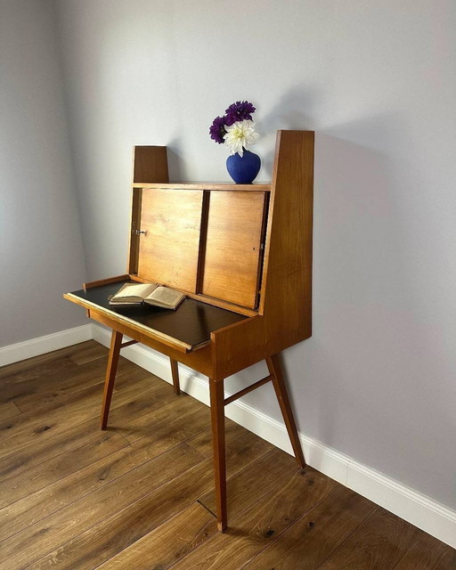 Early Edition: Wilhelm Renz Secretary WR 119 (1950s) – Cherrywood & Resopal