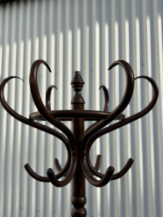 Image 1 of Garderobe Papagei