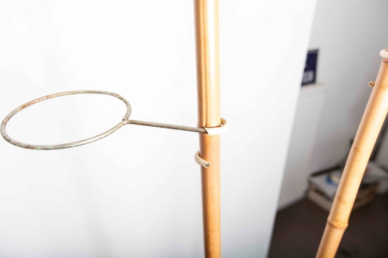 Image 1 of Atypical bamboo and brass indoor revolving plant door, Suise 1960