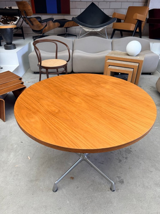 Vitra Eames Contract Table (Lagerbestand: 2) – Esstische, Metal, Wood (photo 19 of 19)