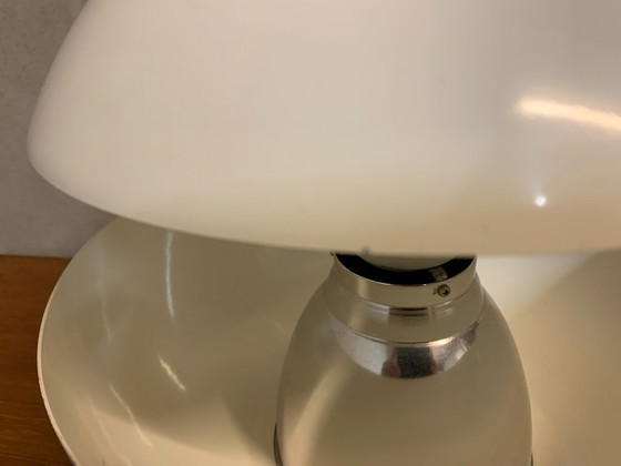 Image 1 of Springfontein vanRAAK Ámsterdam 1965 Bertrand Balas.