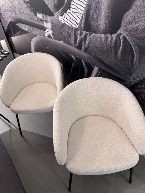 Image 1 of Sedia da pranzo Montel Tune