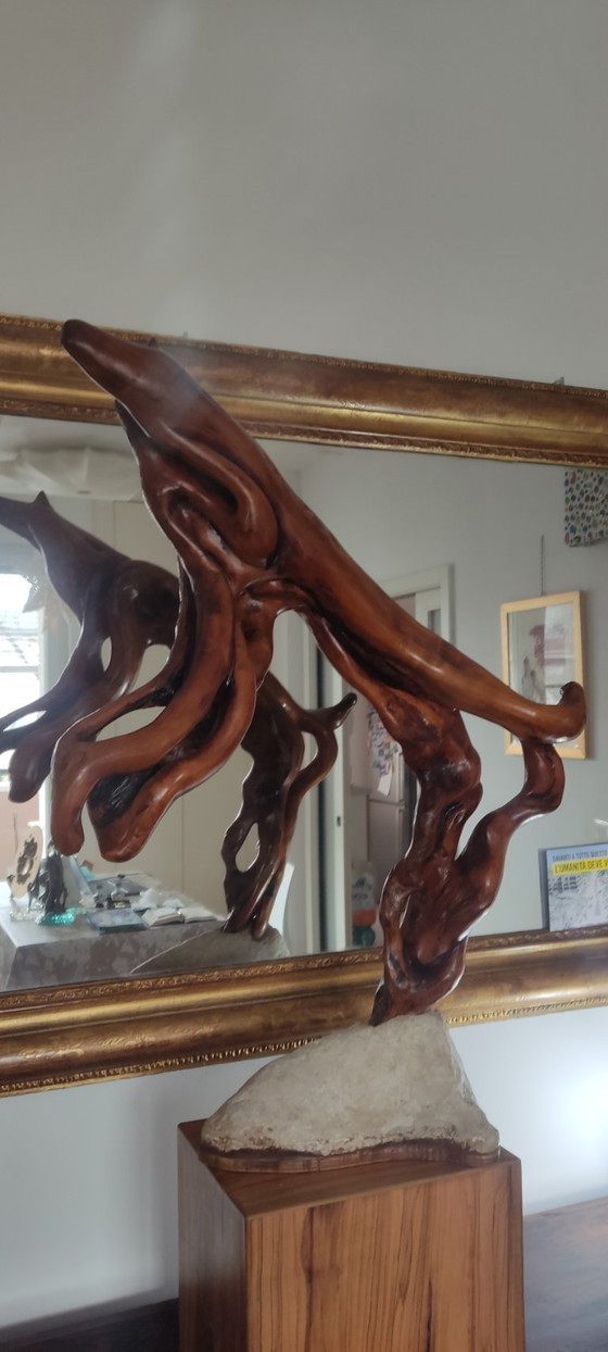 Image 1 of Organic Sculpture "Greyhound" in Solid Wood on a Stone Base – Biomorphic Natural Art