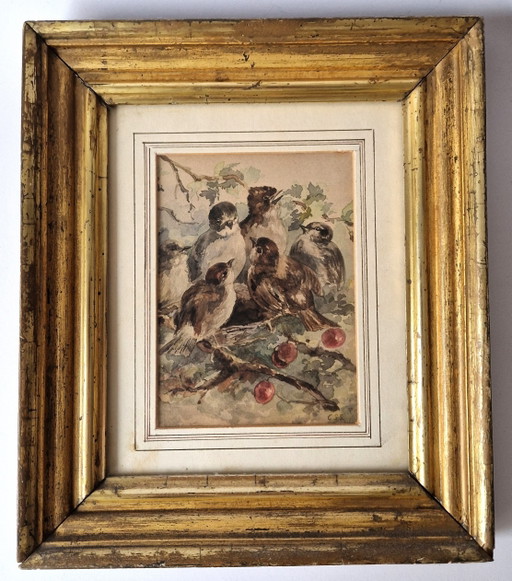 CS Stortenbeker - Aquarelle met vogelnes