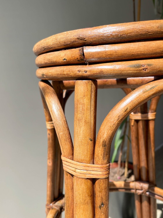 Image 1 of Sgabello da bar vintage in legno curvato, anni '50