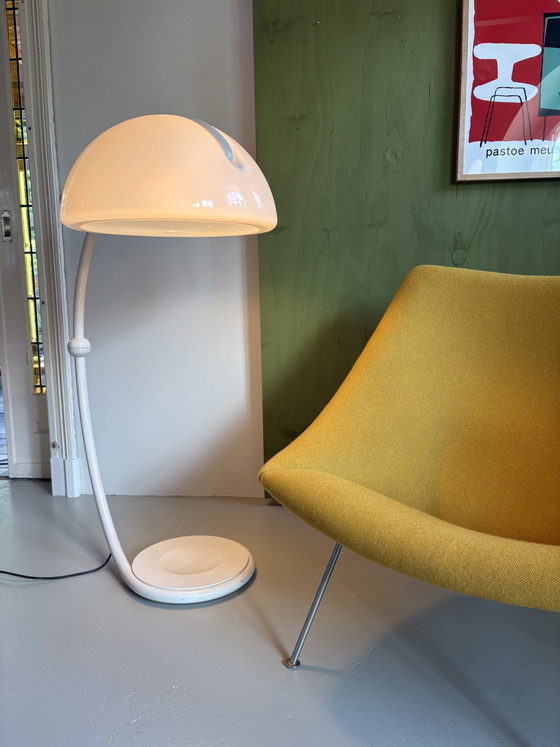 Artifort F157 Big Oyster Sillón recién tapizado – Sillones, Wool (photo 8 of 8)