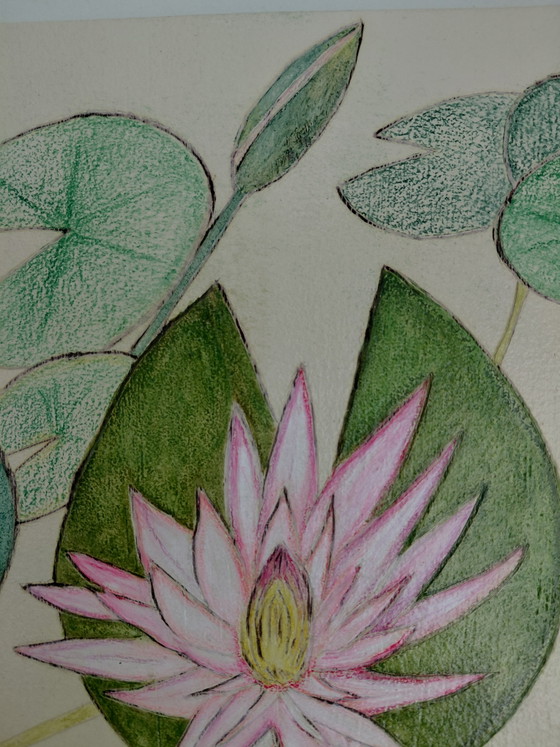 Image 1 of “Where Lilies Dteam” Gallery Suncorner