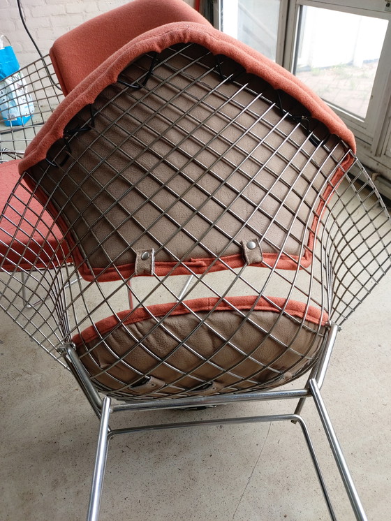 Image 1 of Bertoia Diamantstühle Knoll