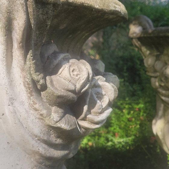 Image 1 of Vazen Medicis Zeer Groot Paar