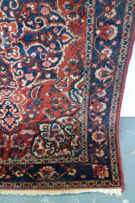 Image 1 of Beautiful Bachtiar from Iran