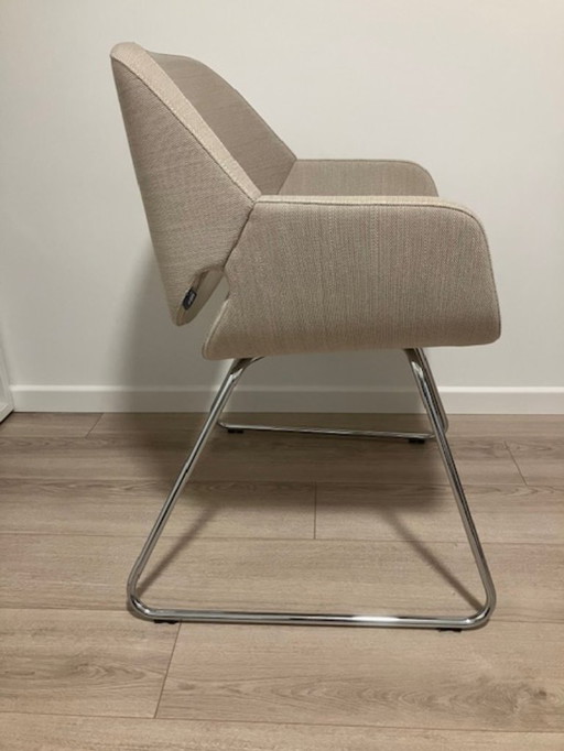 5x sedia Artifort Gap