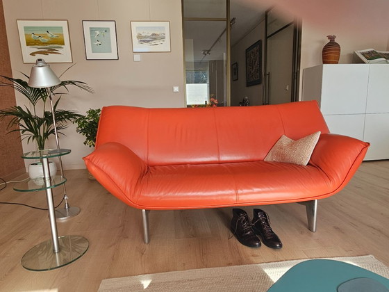 Tango Couches (2- and 3-Seater) Leolux – Leather (photo 3 of 9)