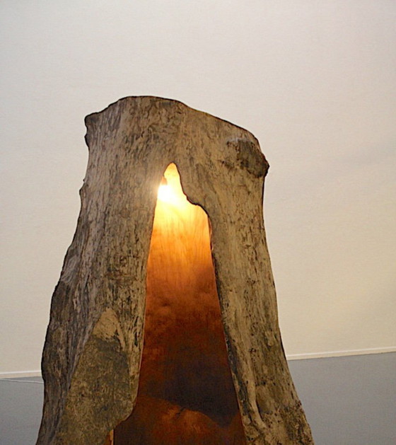 Image 1 of Árbol hueco — Espacio interior (pieza única)