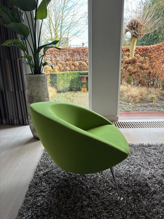 Image 1 of Poltrona Artifort Hanna Verde Lime