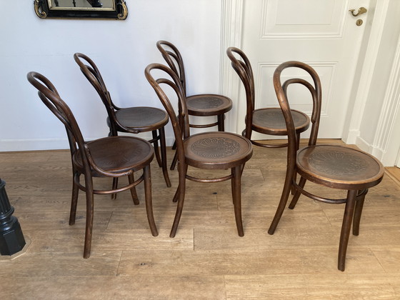Image 1 of 6x Thonet Design No. 14 Chairs
