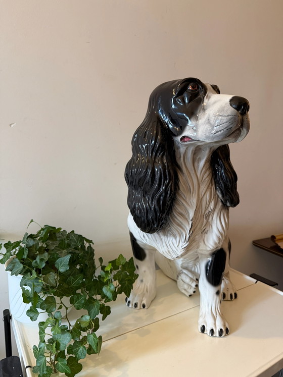 Italiaans Keramiek Spaniel Hond Beeld – Beeldhouwkunst, Ceramic, Vintage (photo 3 of 9)
