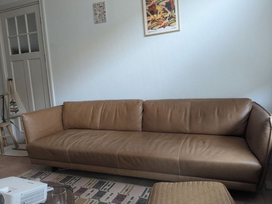 Image 1 of Designer leather sofa in brown – Studio Segers