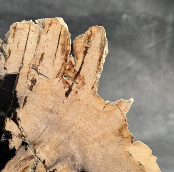 Image 1 of Madera fosilizada de Sooka, soporte hecho a medida (nuevo)