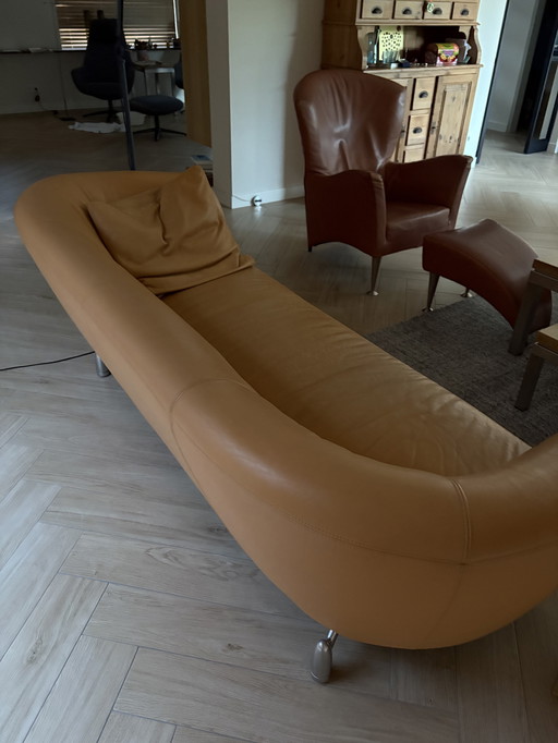 Leolux modèle pupille cuir Scandinavie 44371