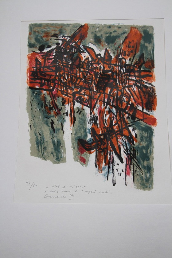 Image 1 of Corneille, Album "Vol d'Oiseaux"