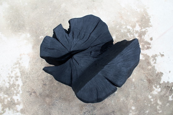 Image 1 of Charred Oak seat