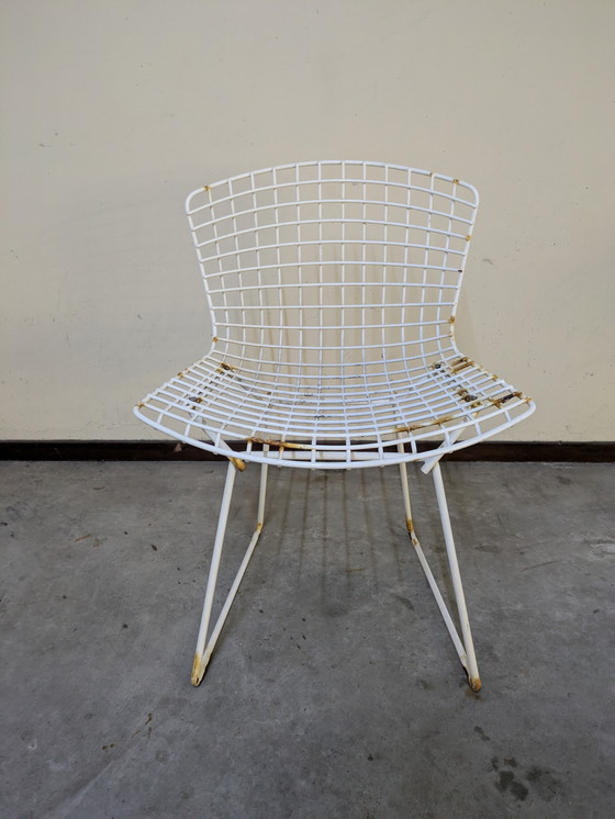 Image 1 of Chaise de salle à manger par Harry Bertoia