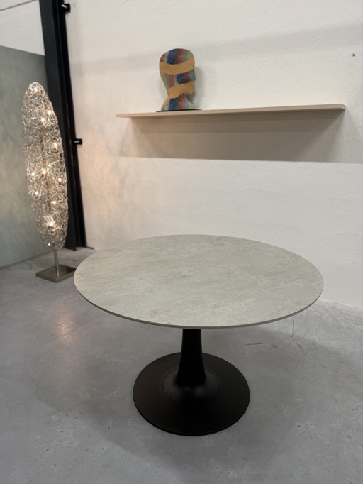 Leolux Columna Dining Table Ceramic Concrete D110
