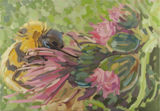 Bombo e cardi, olio su tela, 100x70cm, Sandra Kolondam