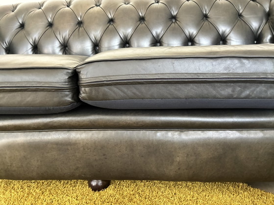 Chesterfield 3Zitter ! – Bendic, 3-5 zitsbanken, Leather (photo 6 of 9)