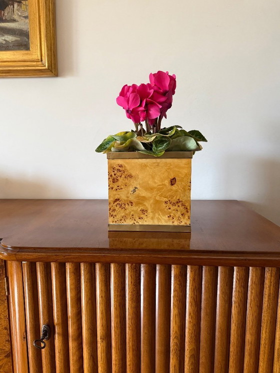 Image 1 of Hollywood Regency Blumentopf aus Wurzelholz und Messing, Vivai del Sud, Italien, 1970er Jahre