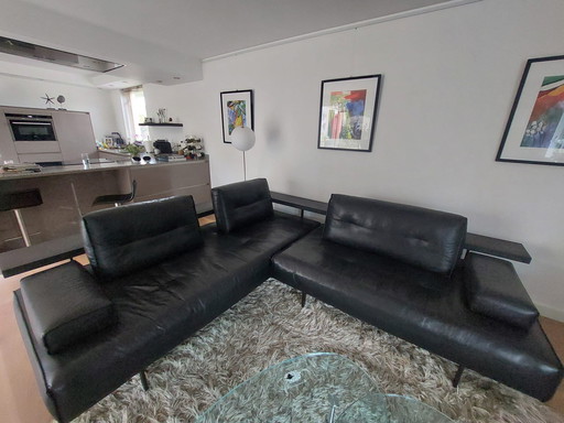 Rolf Benz DONO Ecksofa, limitierte Auflage