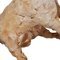 Toro Terracotta van Mario Bertozzi – Beeldhouwkunst, Marble (photo 4 of 4)