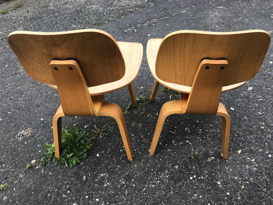 Set of Restored Molded Plywood Chairs – Dining chairs (photo 3 of 6)