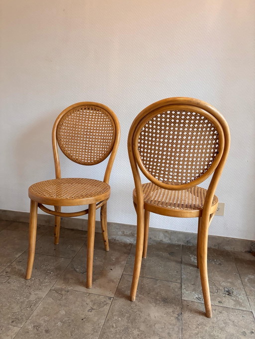 Zpm Radomsko Bentwood Chairs 