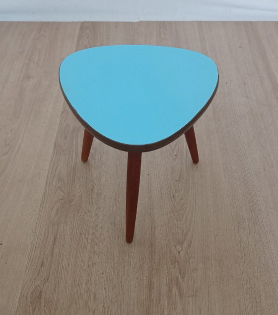 Image 1 of Vijftiger jaren plantentafel