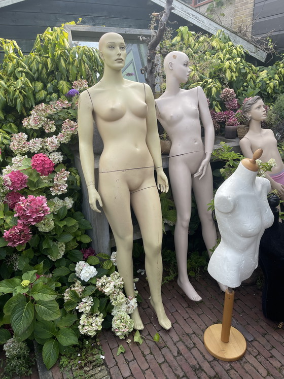 Image 1 of 6 x Mannequins Together € 75.-